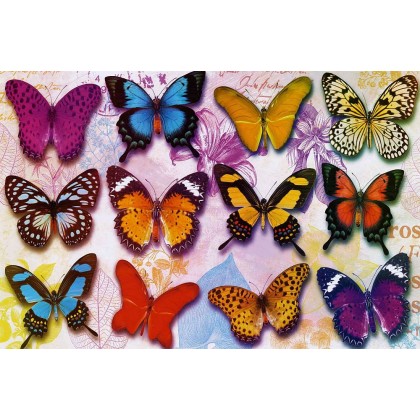 Πεταλούδες - Πολύχρωμες